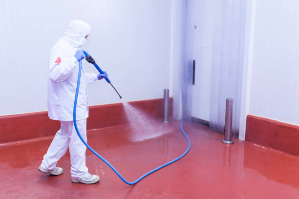 Trusted Burnsville, NC  Pressure Washing Services Experts